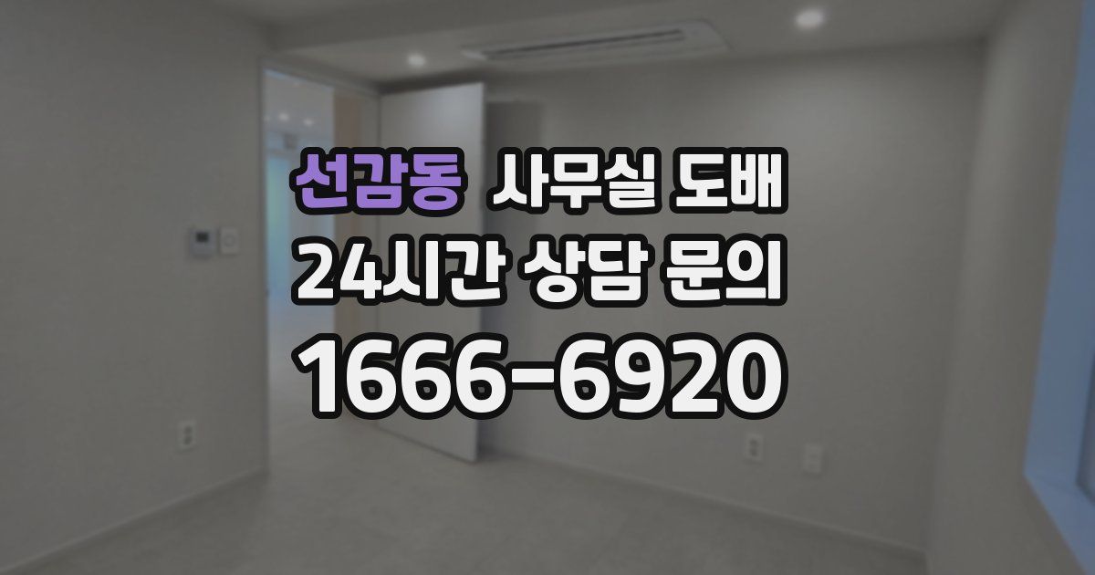 선감동 사무실 도배