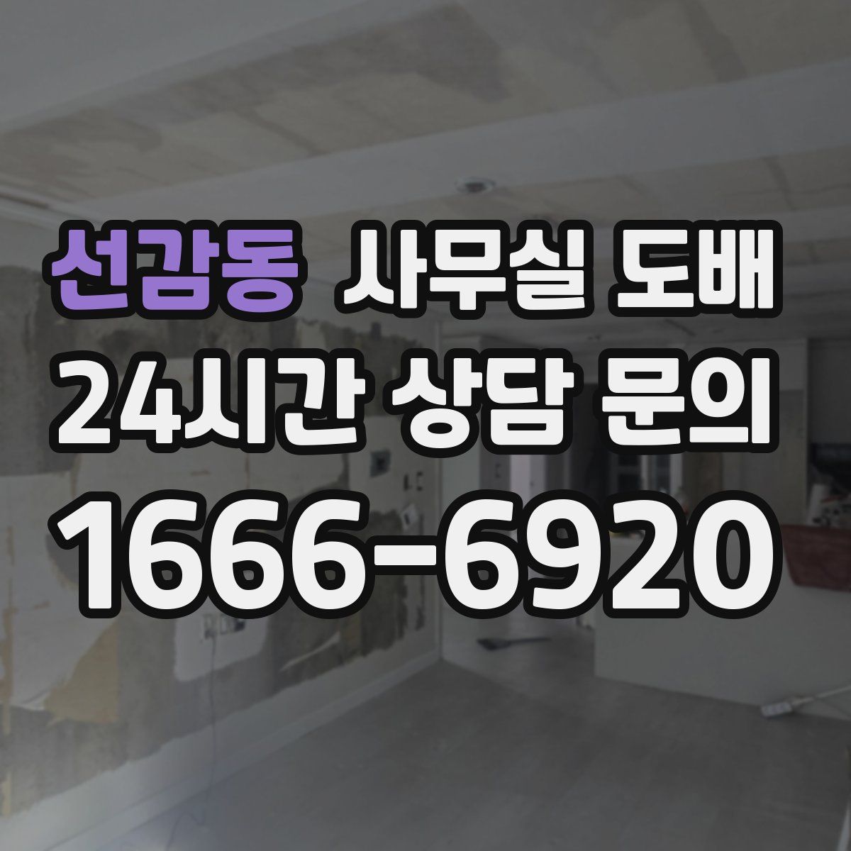 선감동 사무실 도배