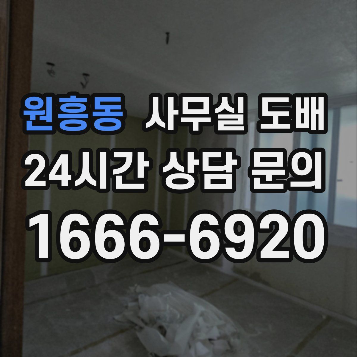 원흥동 사무실 도배