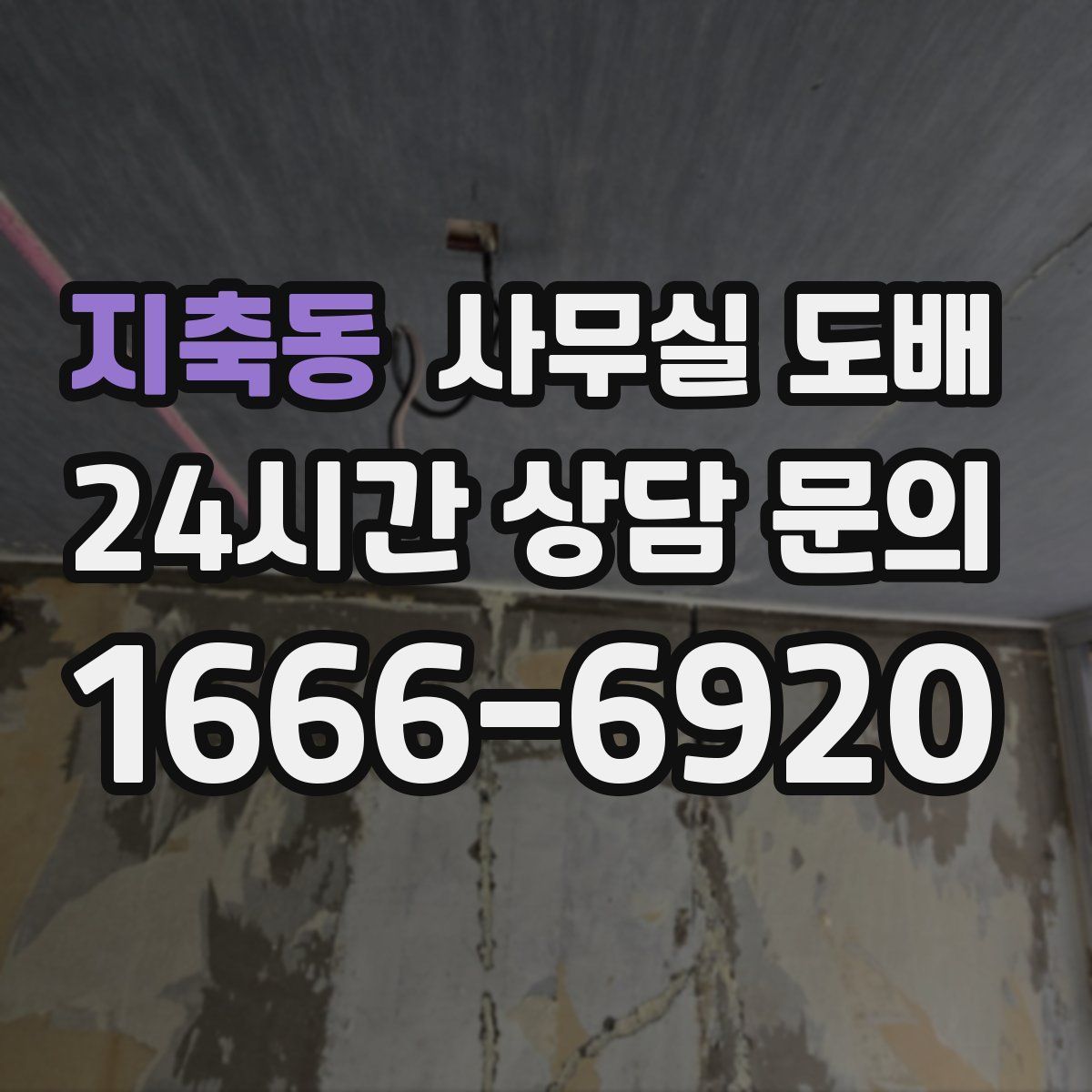 지축동 사무실 도배
