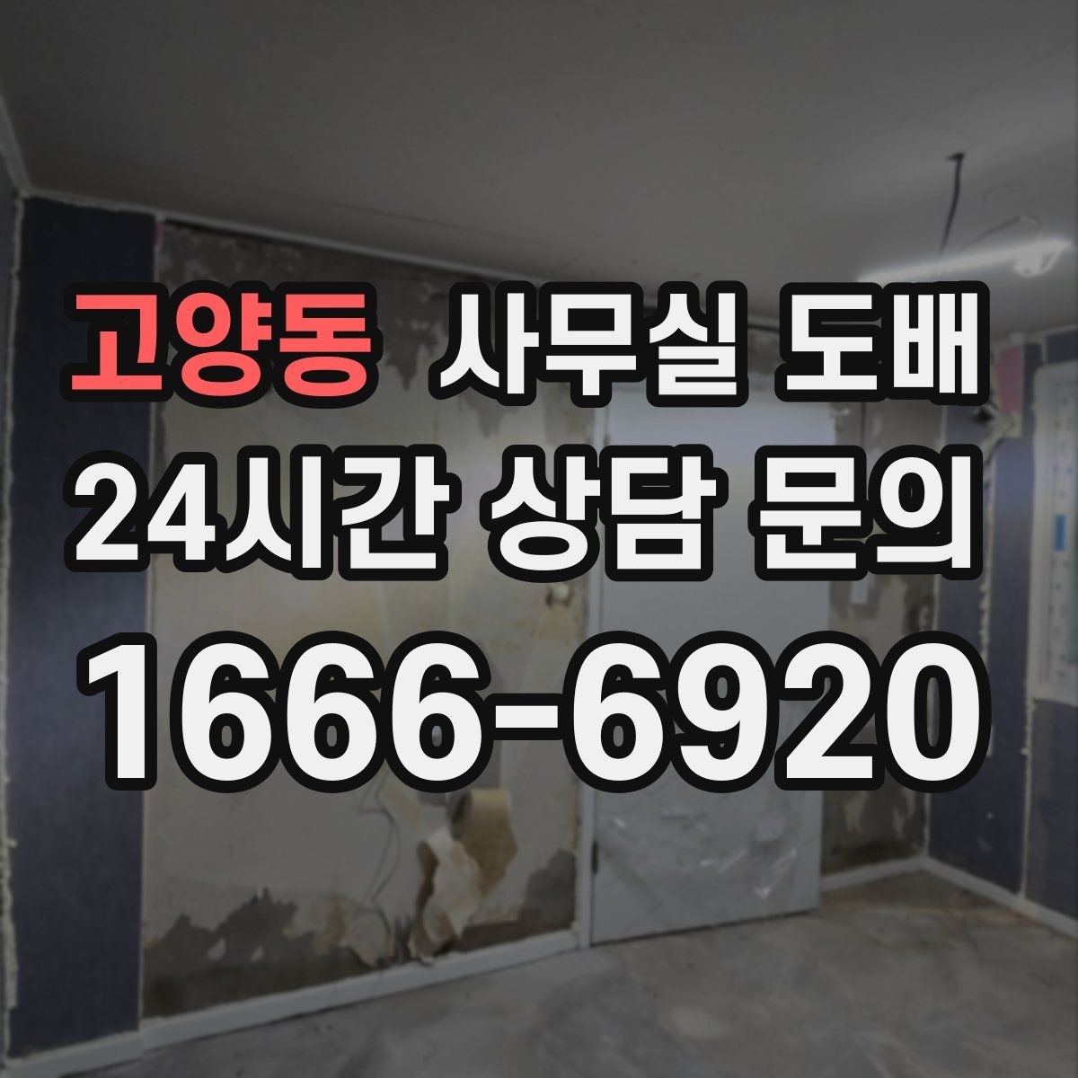고양동 사무실 도배