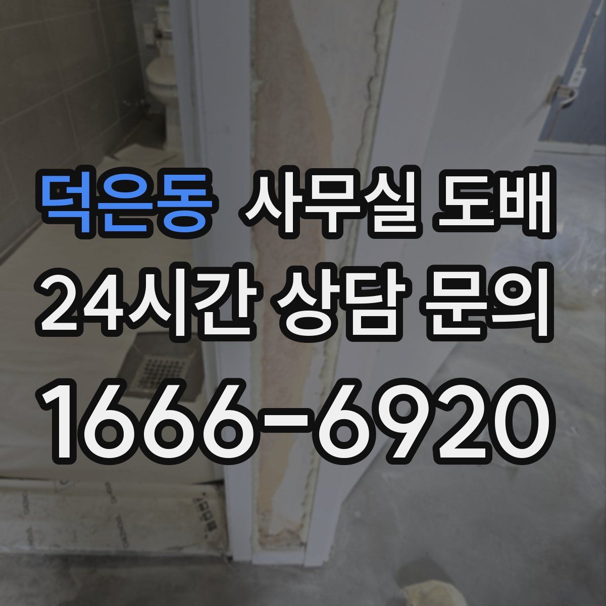 덕은동 사무실 도배