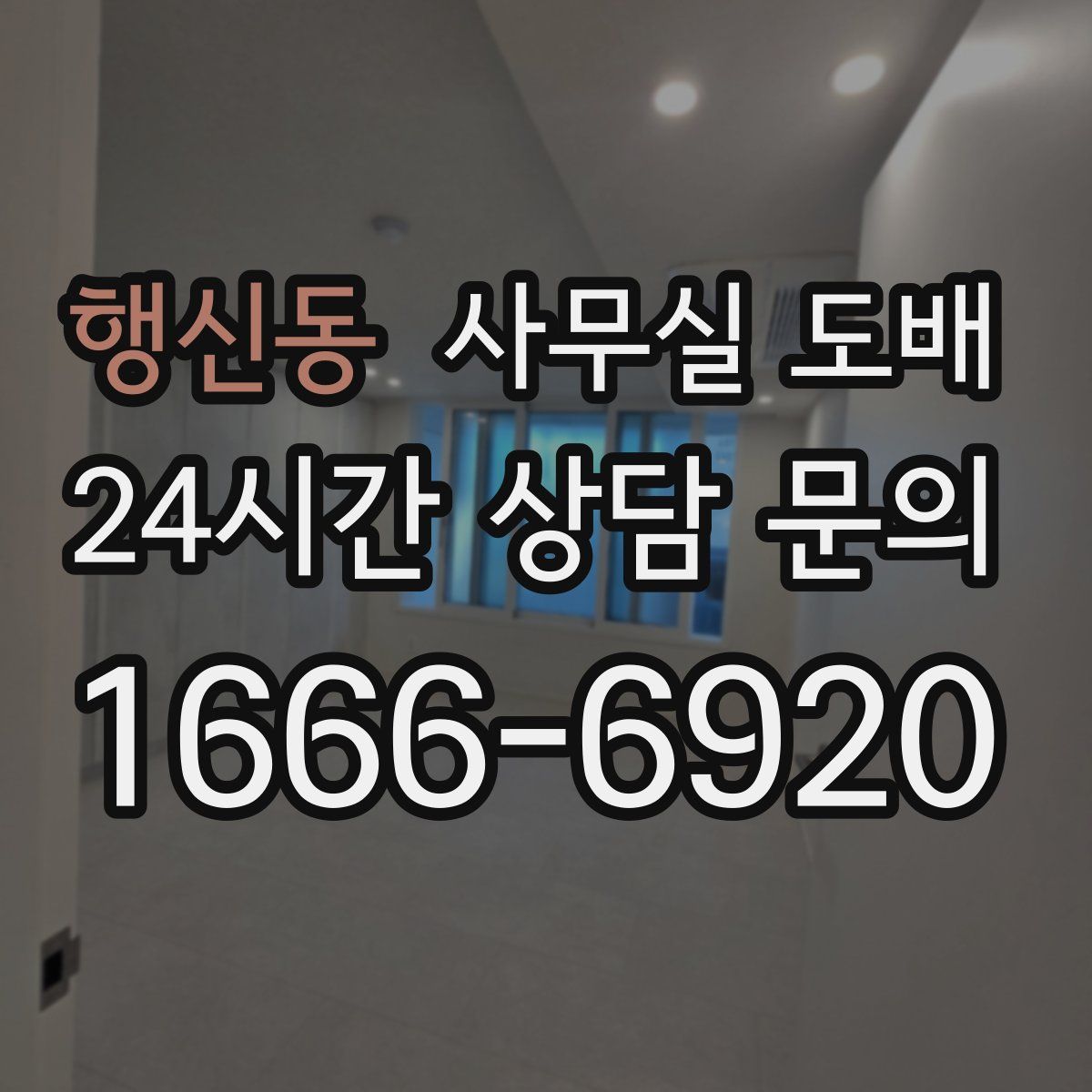 행신동 사무실 도배