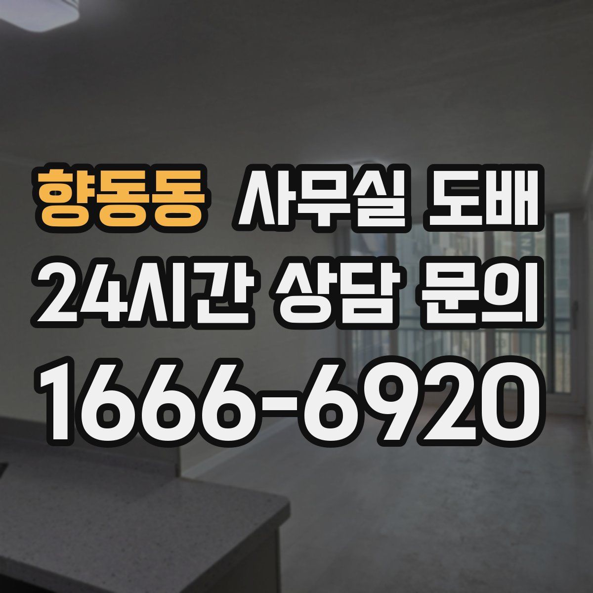 향동동 사무실 도배