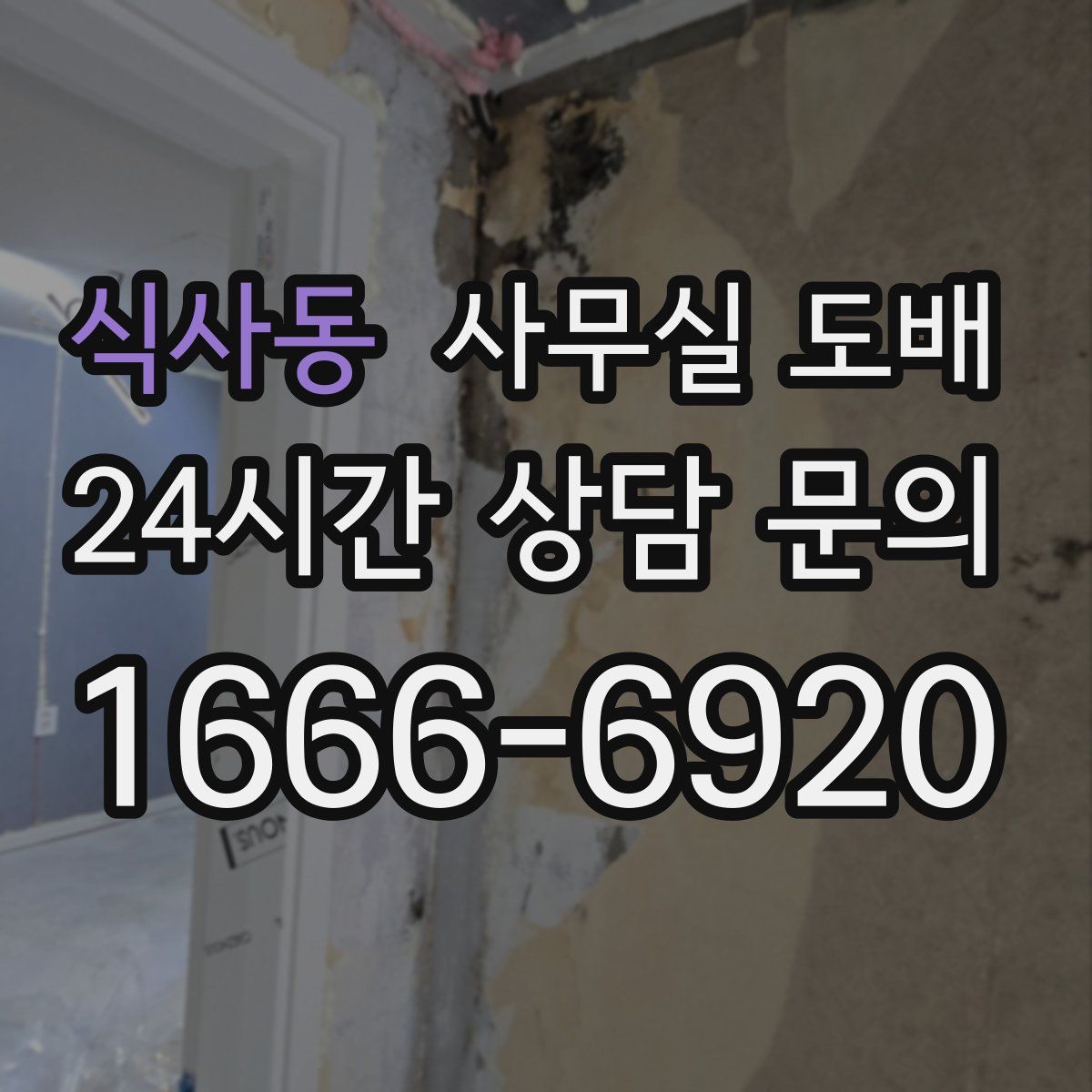 식사동 사무실 도배