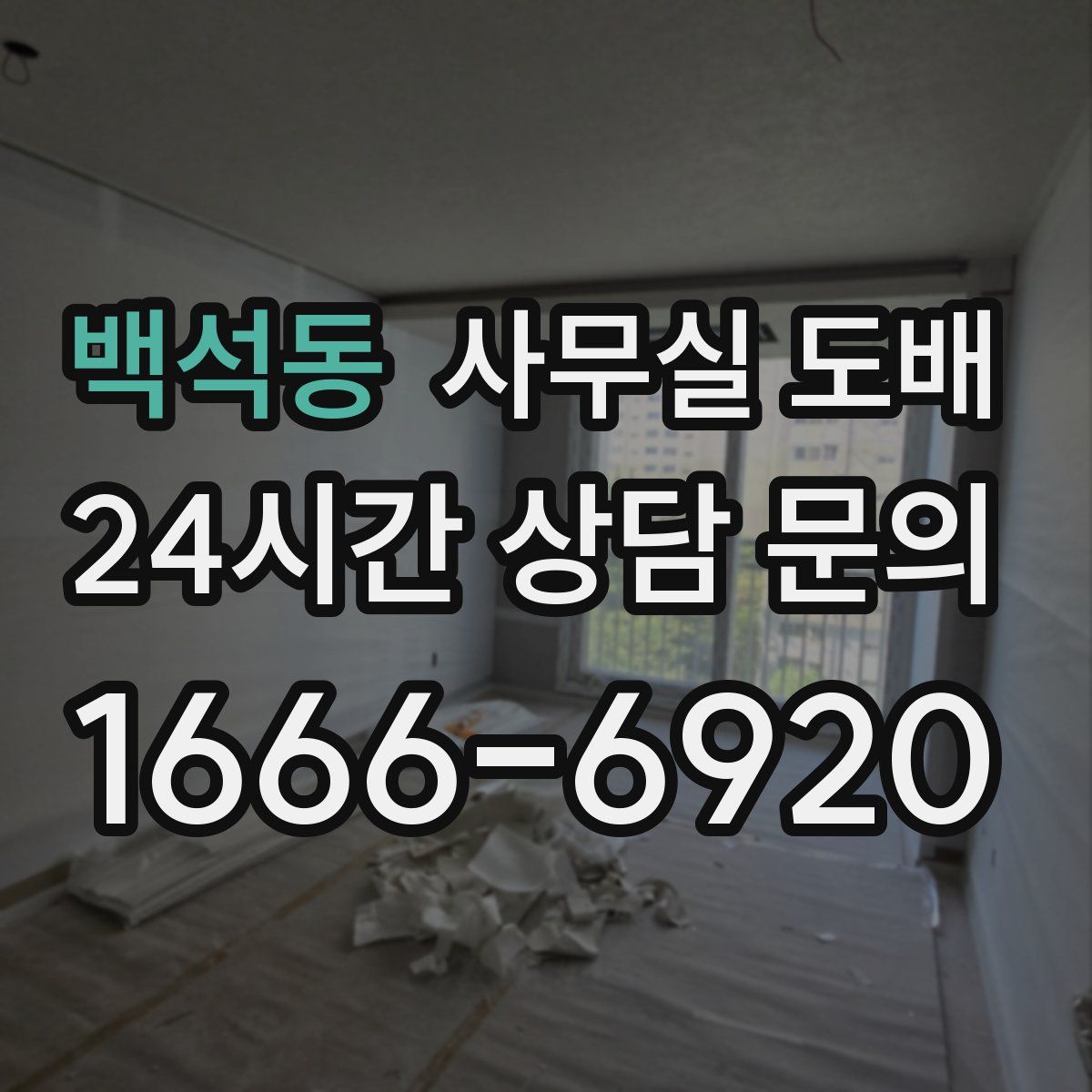 백석동 사무실 도배
