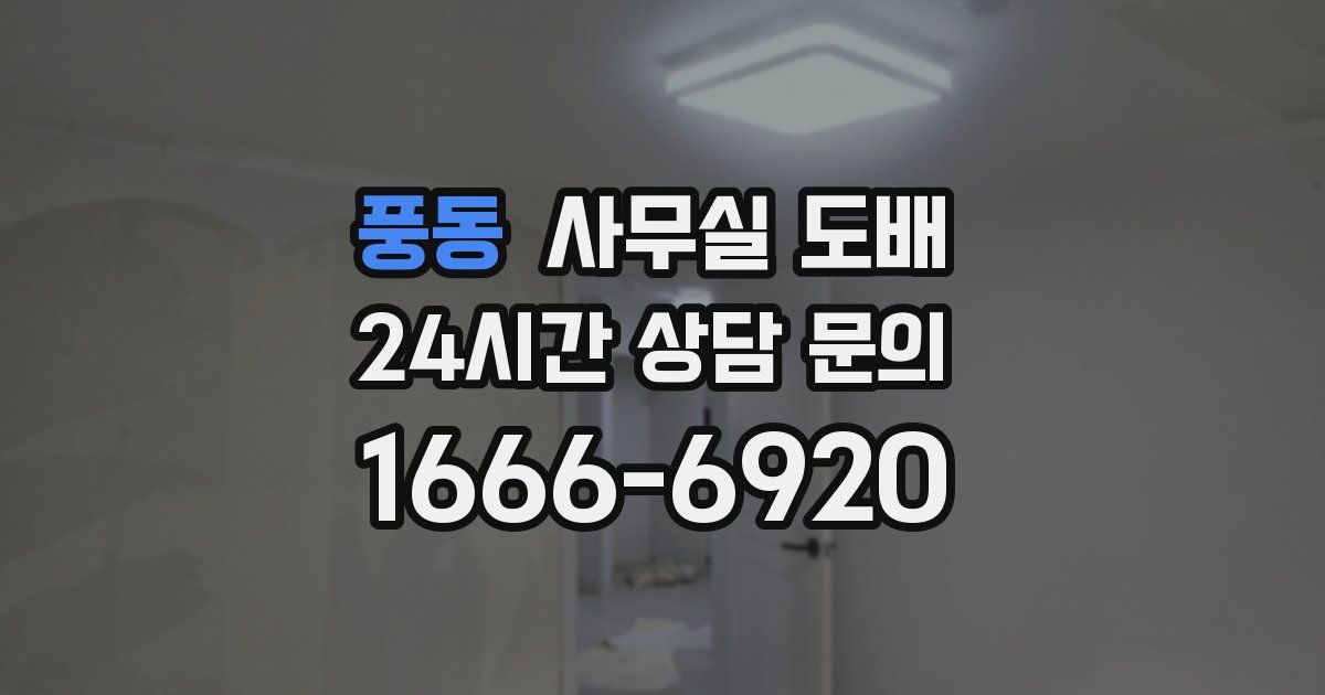 풍동 사무실 도배