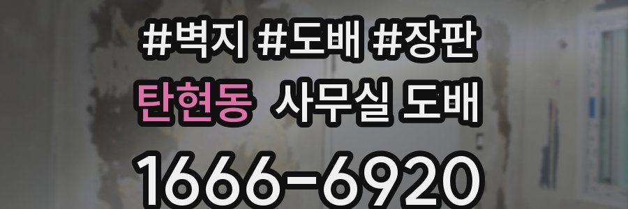 탄현동 사무실 도배
