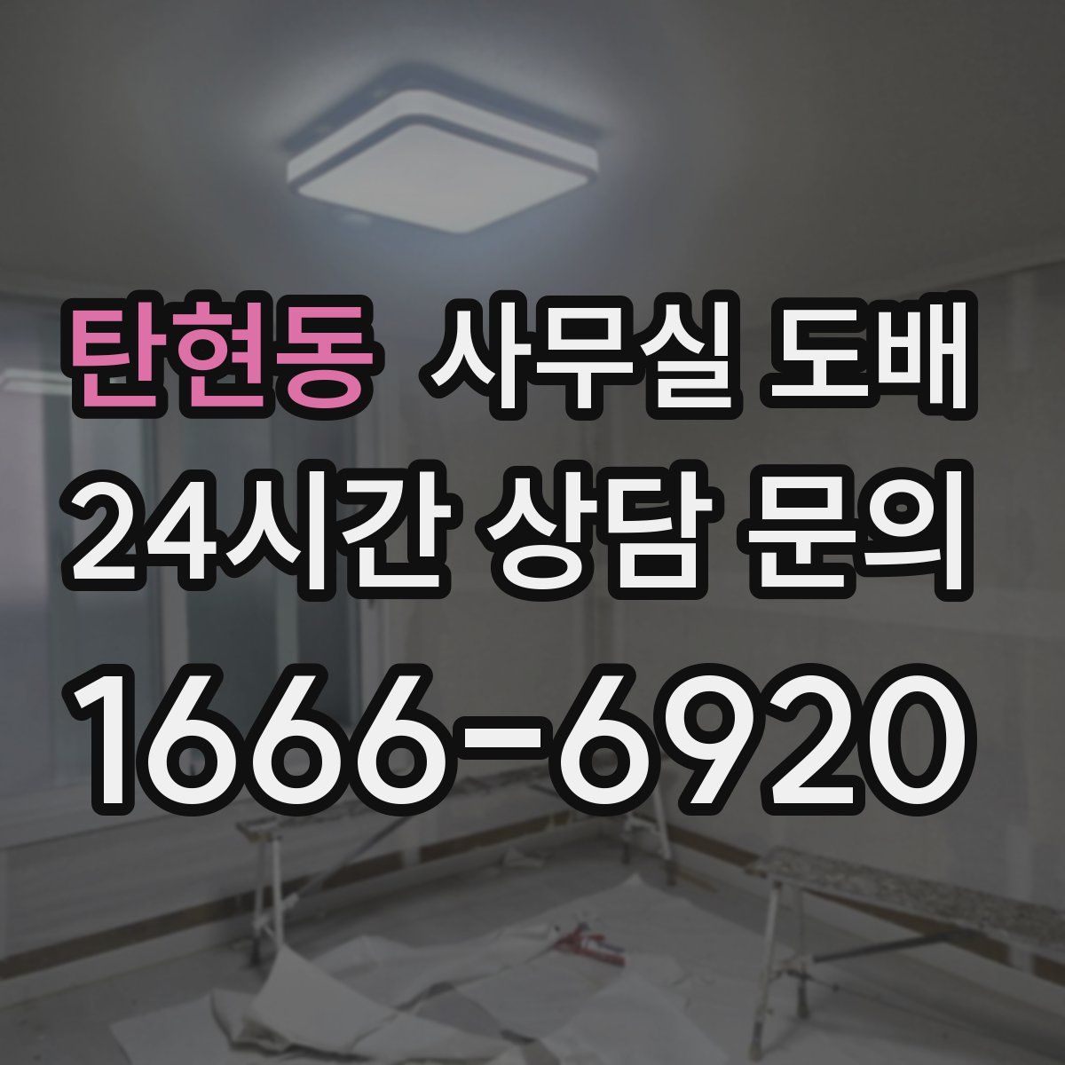 탄현동 사무실 도배