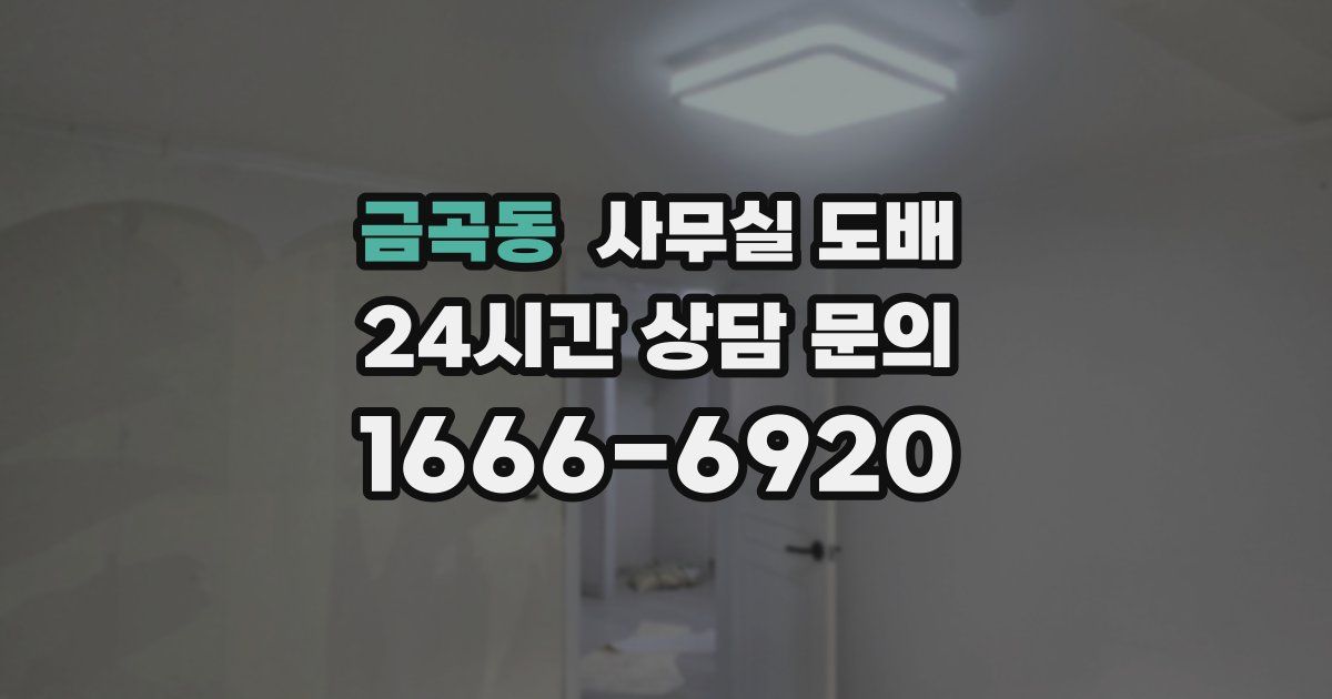 금곡동 사무실 도배