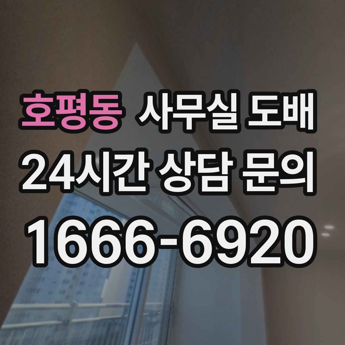 호평동 사무실 도배