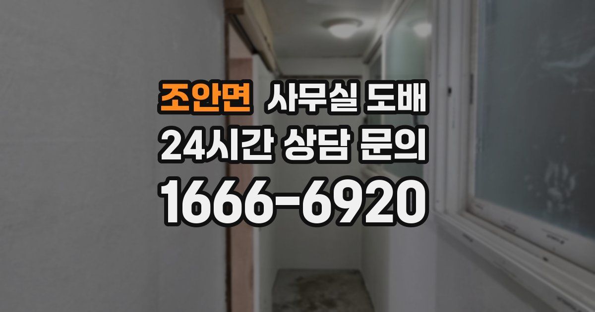 조안면 사무실 도배