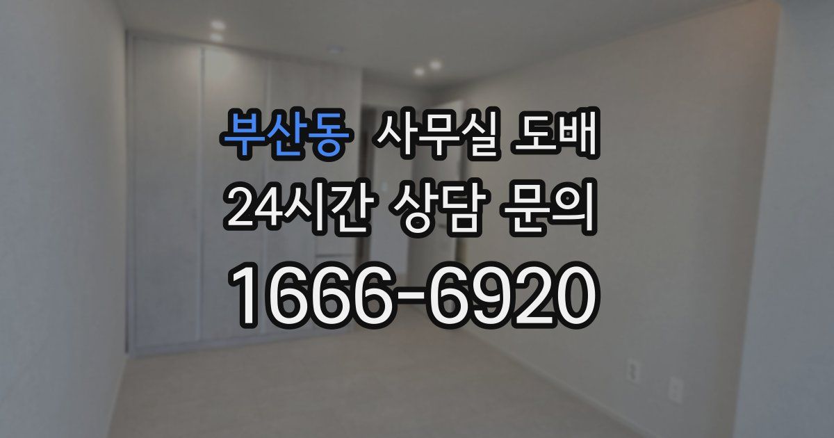 부산동 사무실 도배