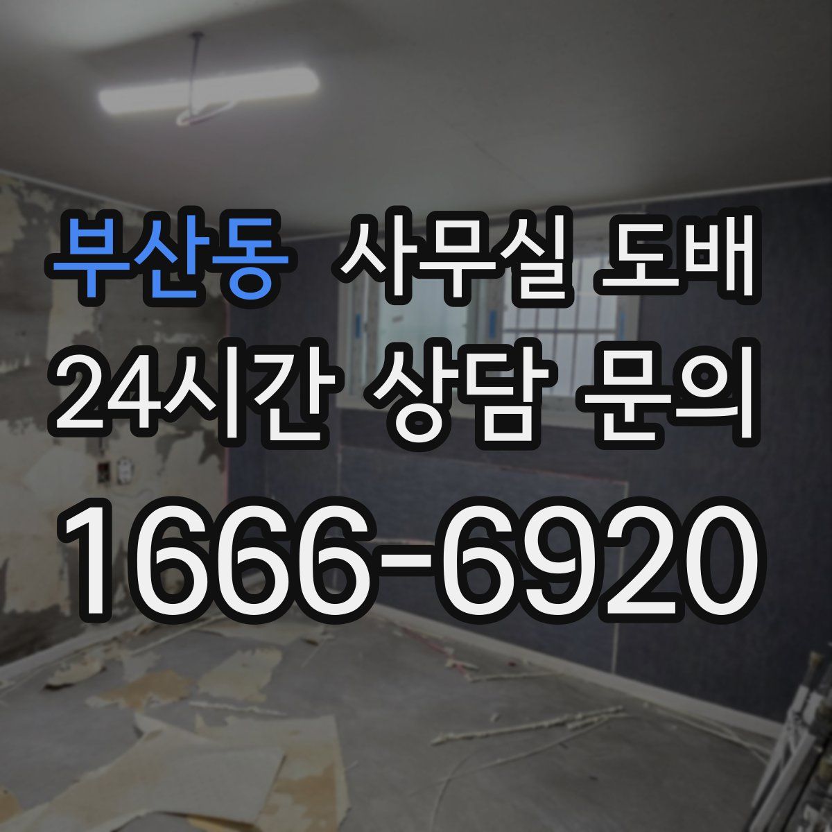 부산동 사무실 도배