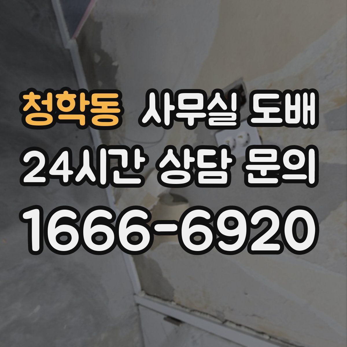 청학동 사무실 도배