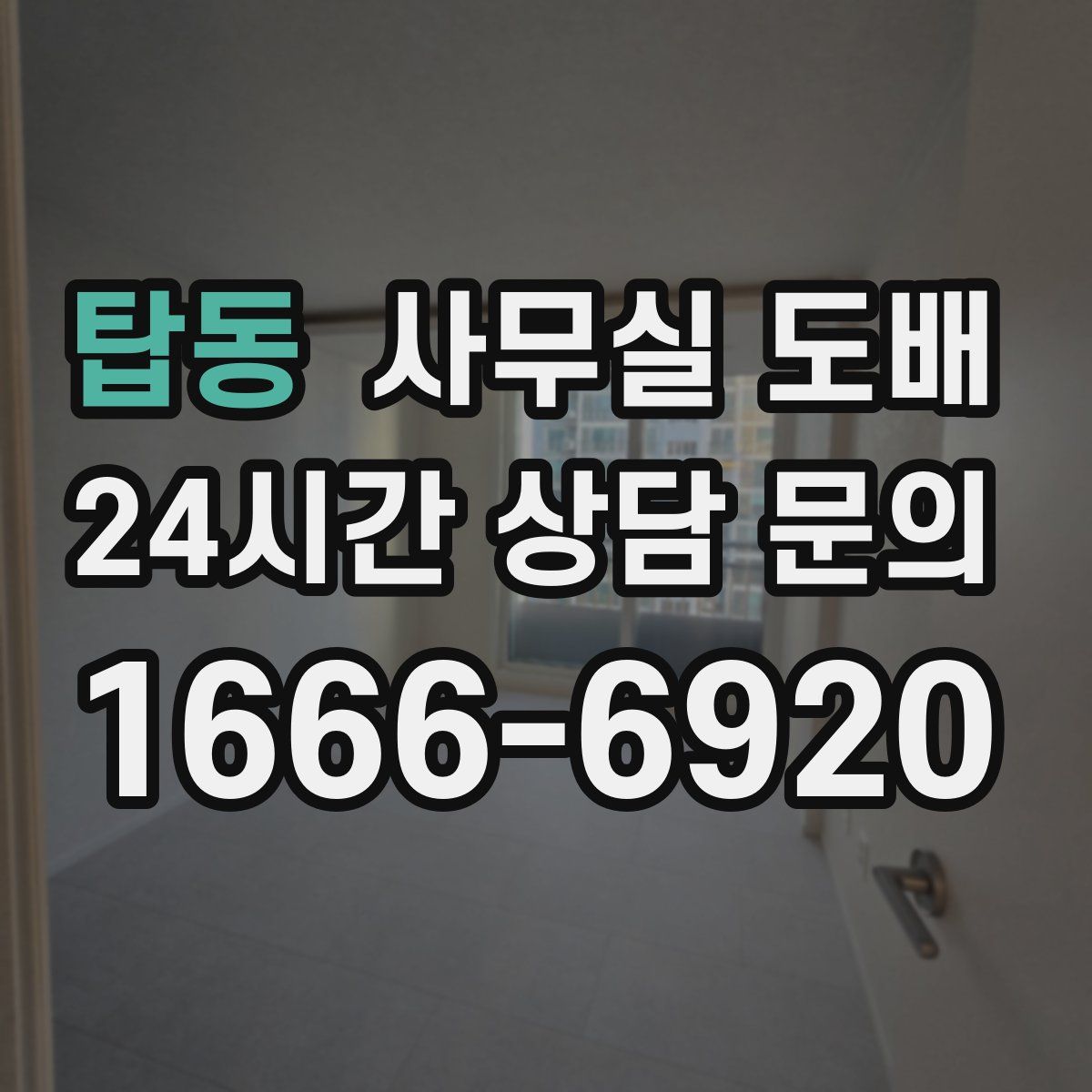 탑동 사무실 도배