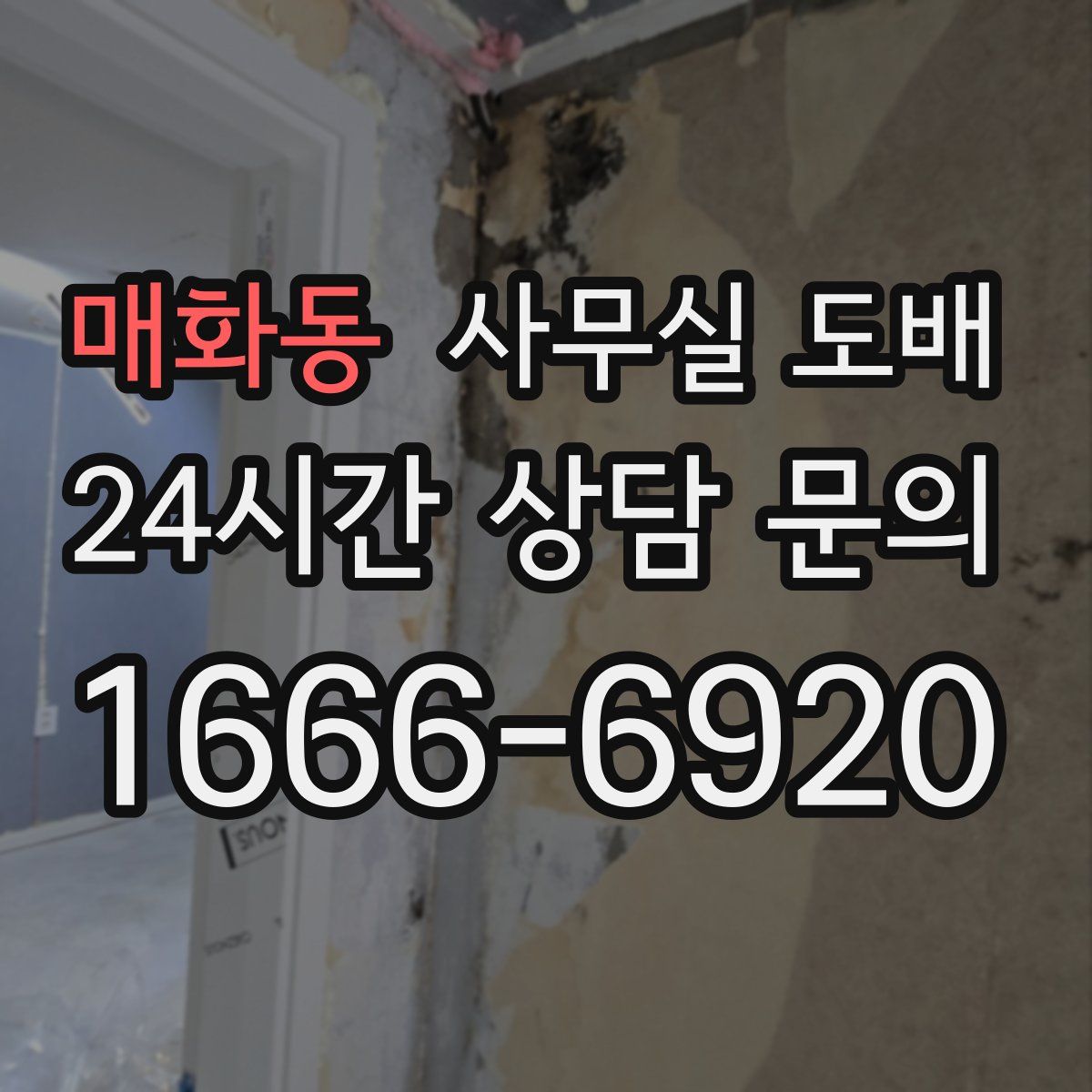 매화동 사무실 도배