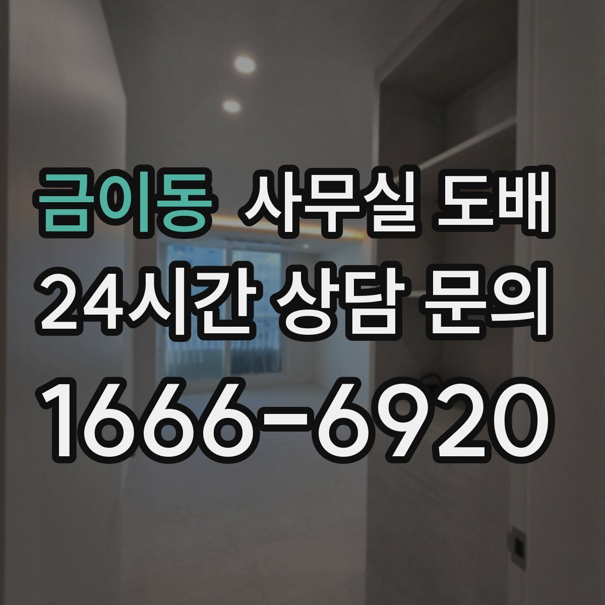 금이동 사무실 도배