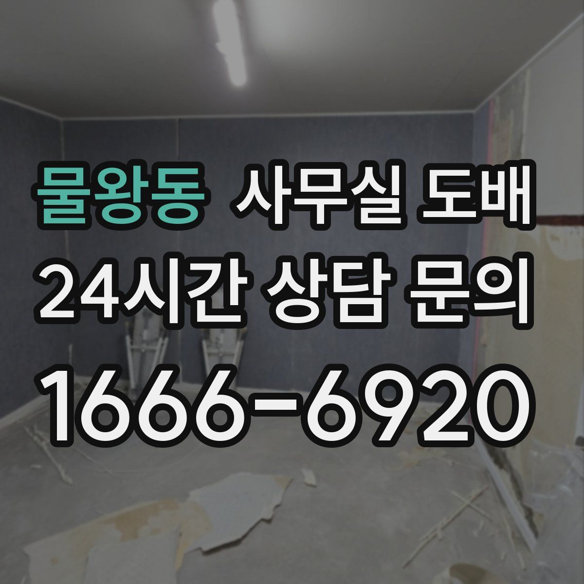 물왕동 사무실 도배