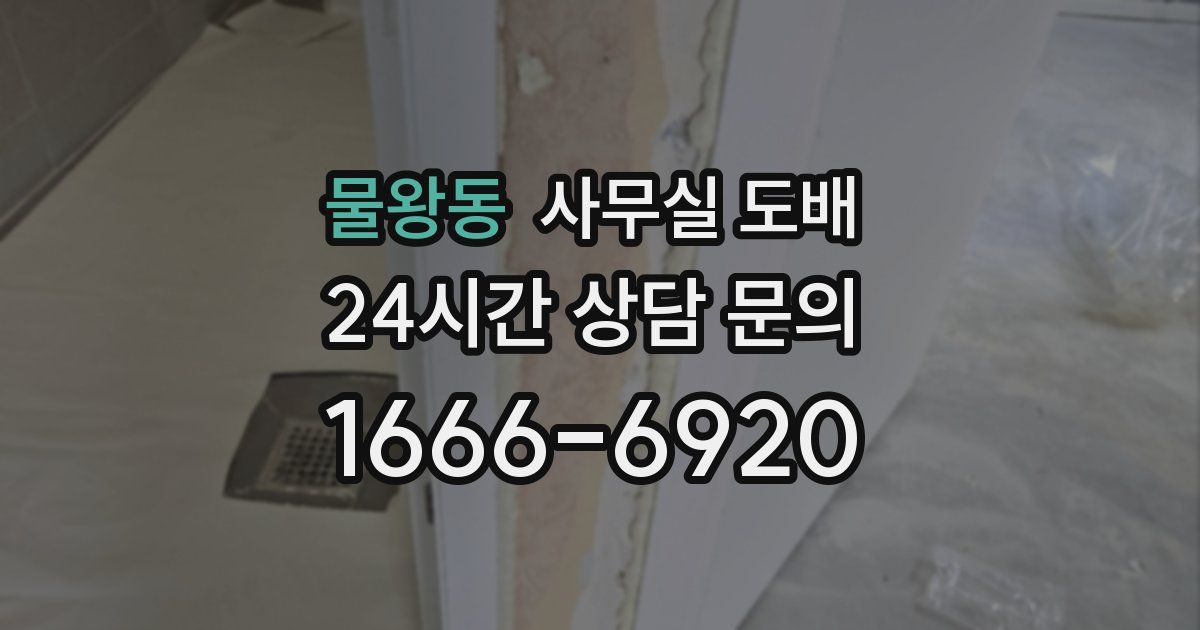 물왕동 사무실 도배