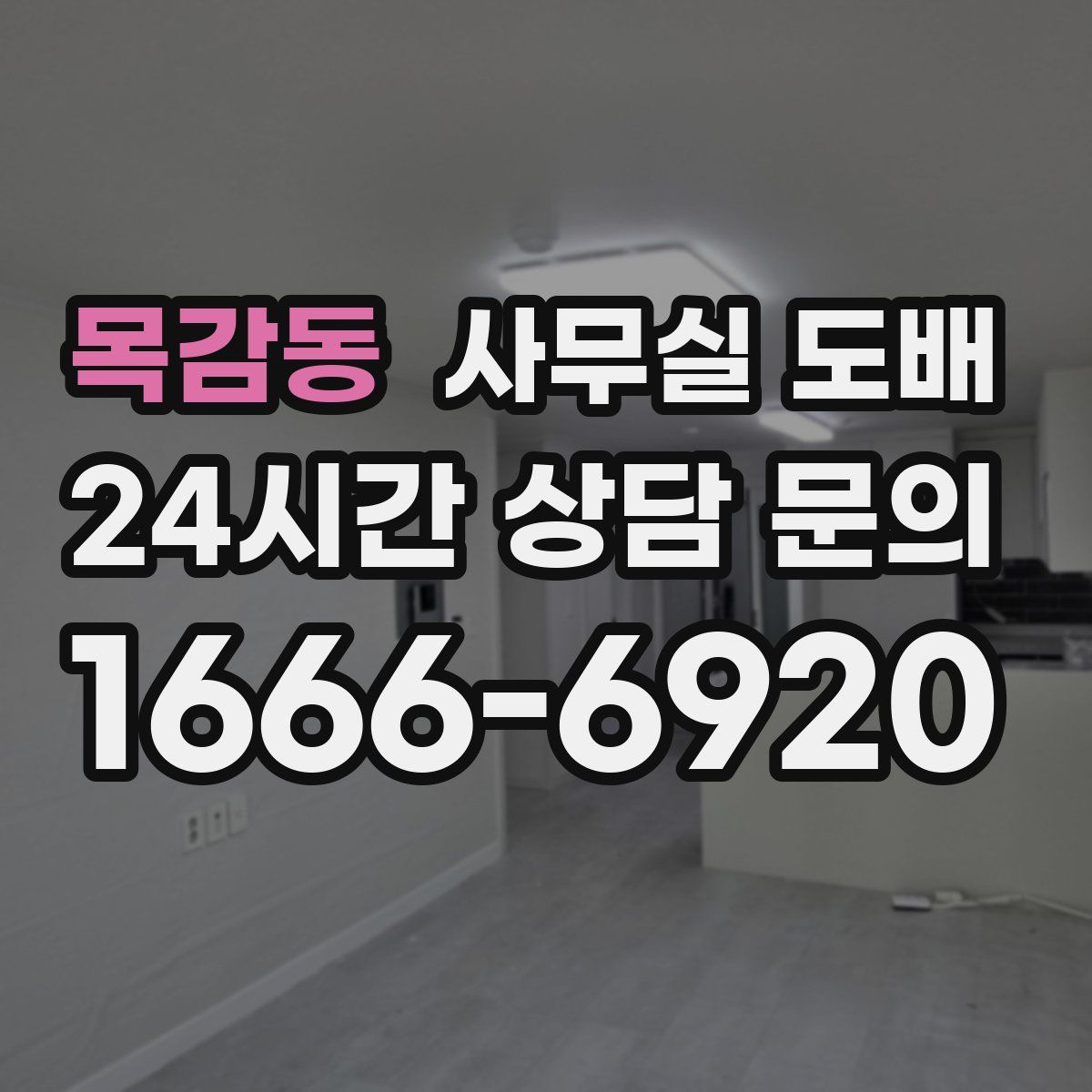 목감동 사무실 도배