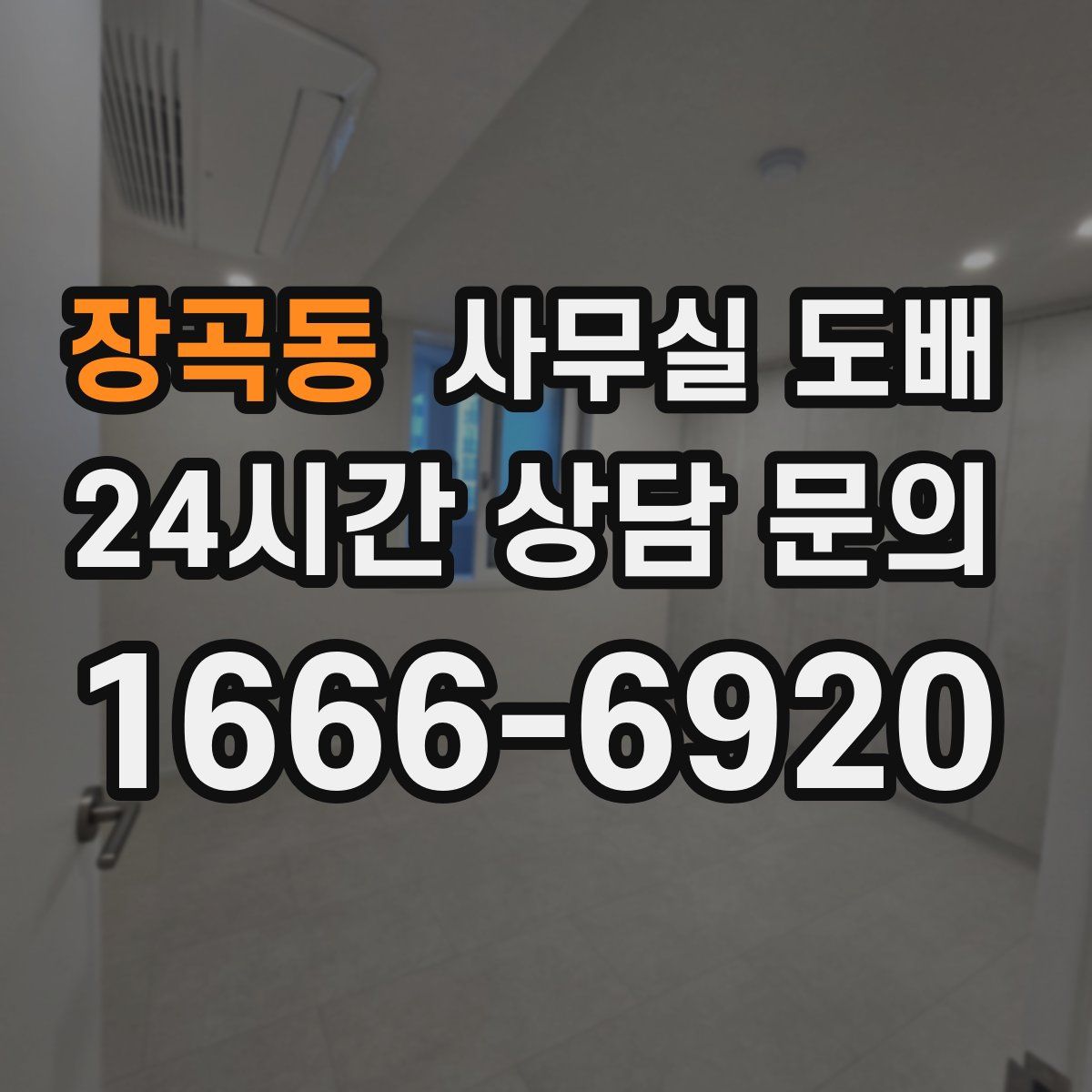 장곡동 사무실 도배
