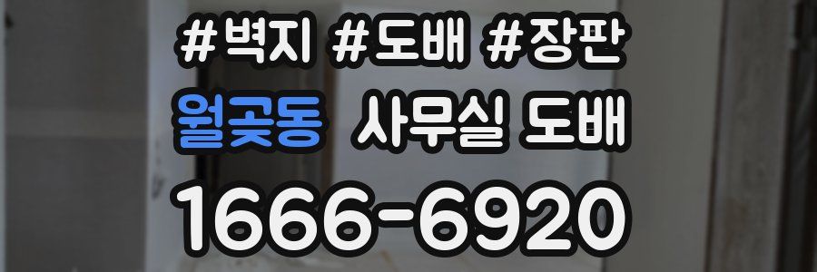 월곶동 사무실 도배