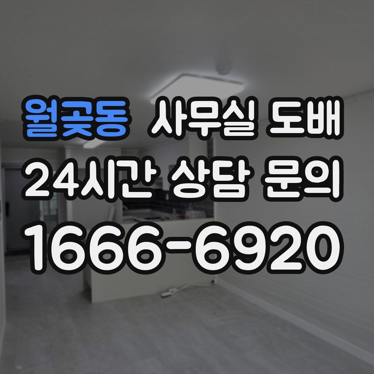 월곶동 사무실 도배