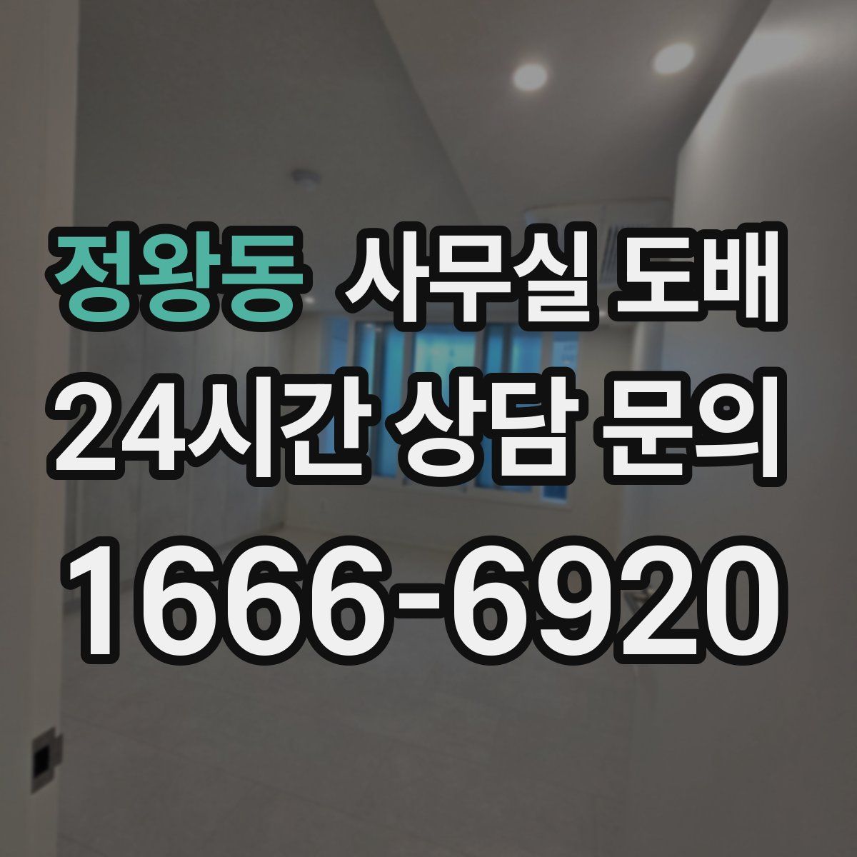 정왕동 사무실 도배
