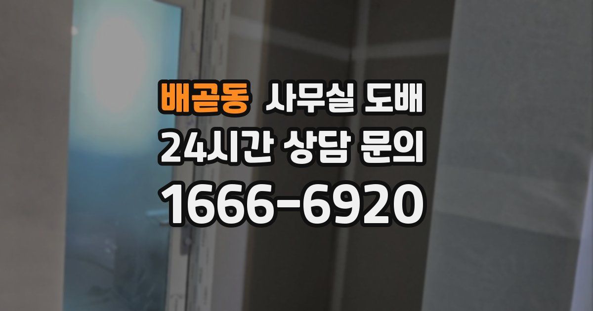 배곧동 사무실 도배