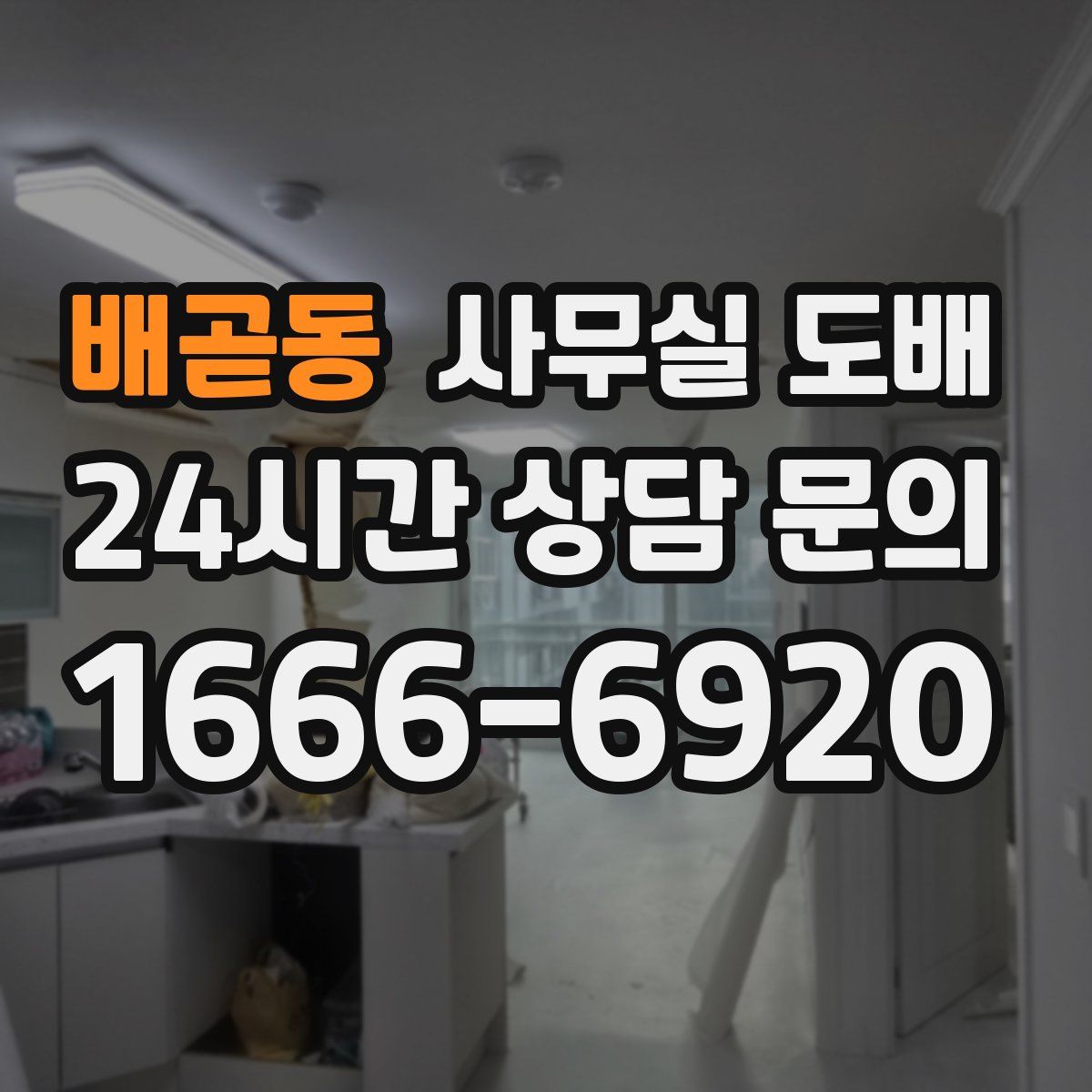 배곧동 사무실 도배