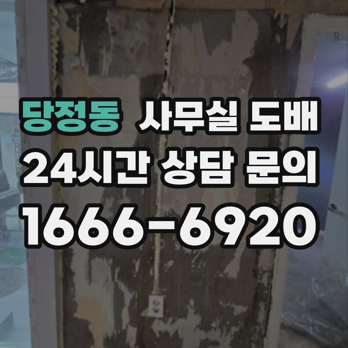 당정동 사무실 도배