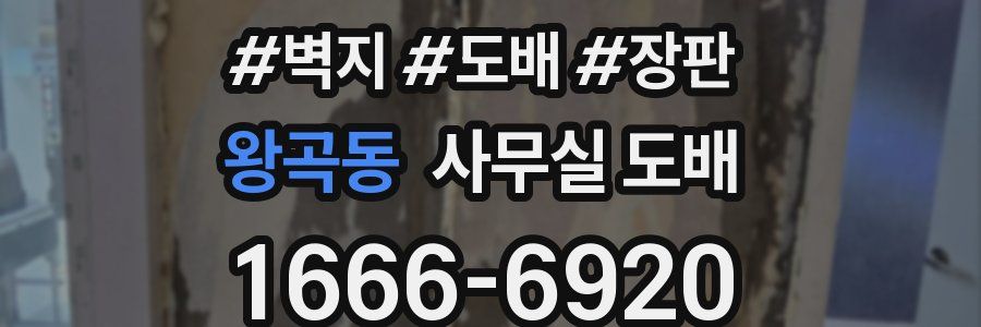 왕곡동 사무실 도배