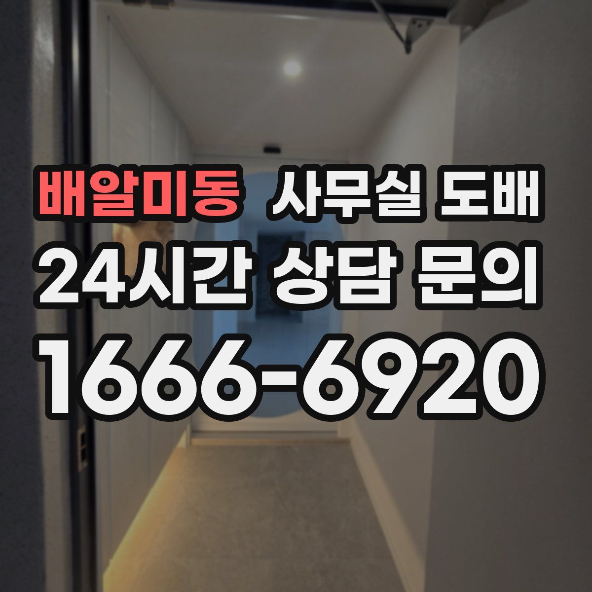 배알미동 사무실 도배