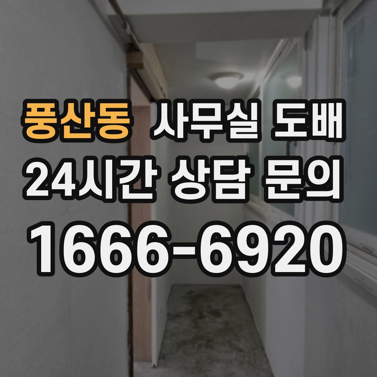 풍산동 사무실 도배