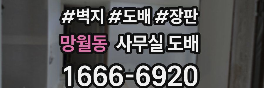 망월동 사무실 도배