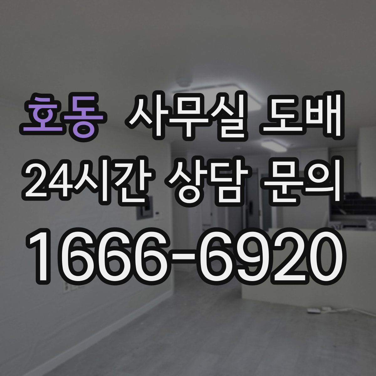 호동 사무실 도배