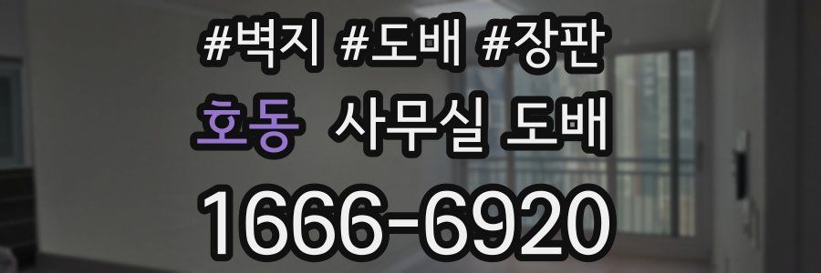 호동 사무실 도배