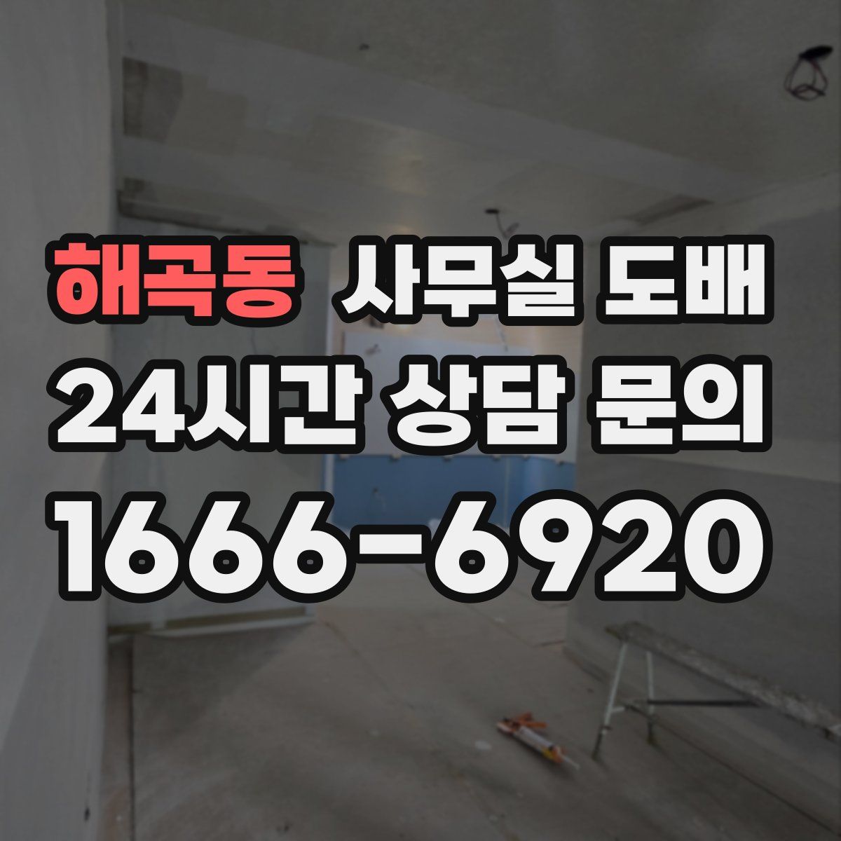 해곡동 사무실 도배
