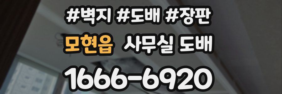 모현읍 사무실 도배