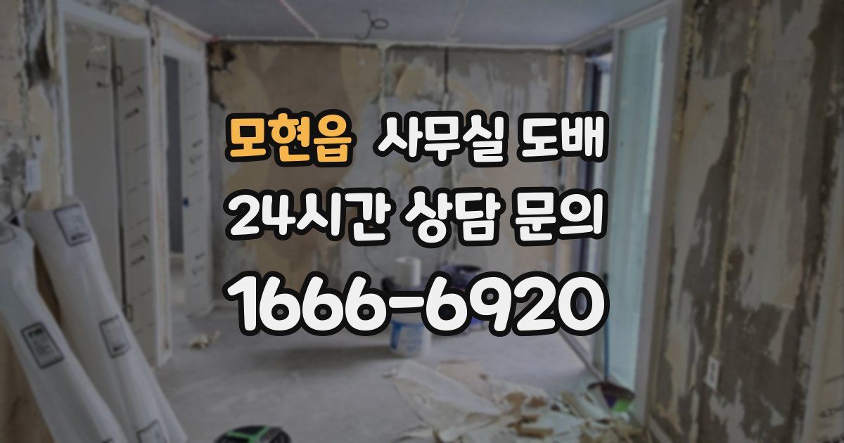 모현읍 사무실 도배