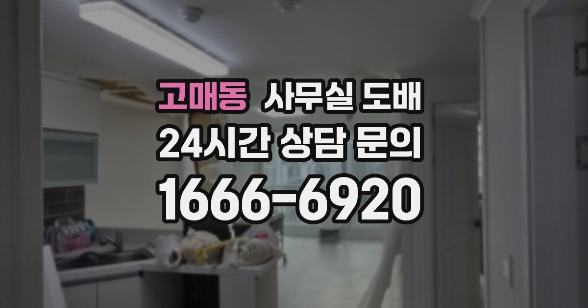 고매동 사무실 도배