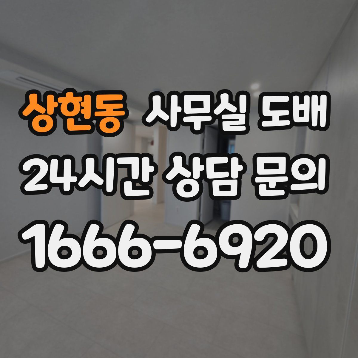 상현동 사무실 도배