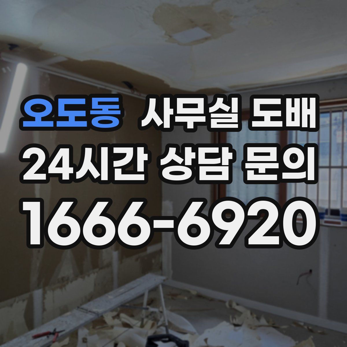 오도동 사무실 도배