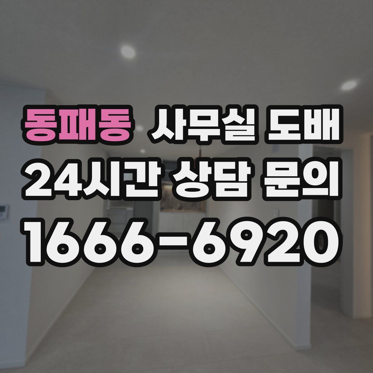 동패동 사무실 도배