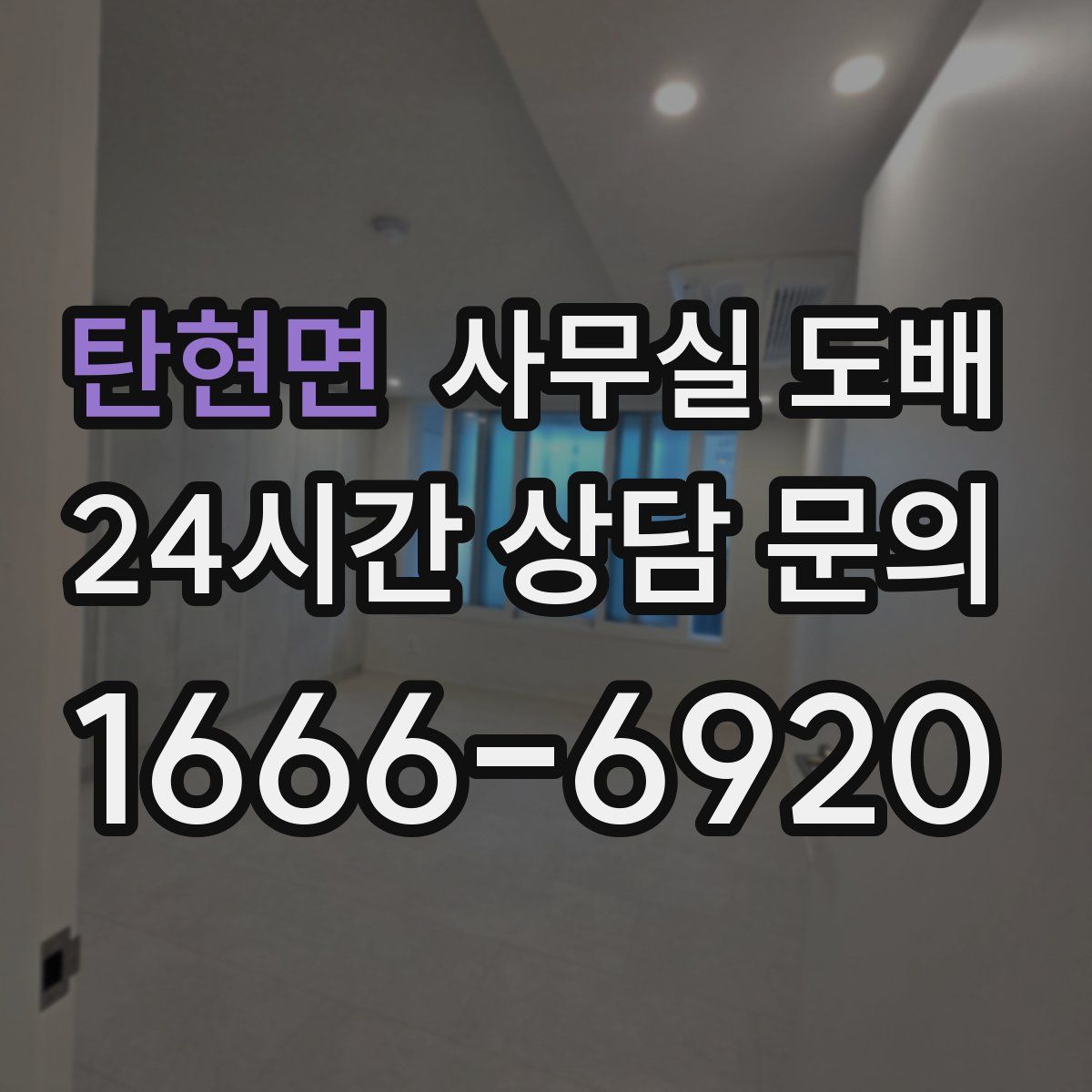 탄현면 사무실 도배