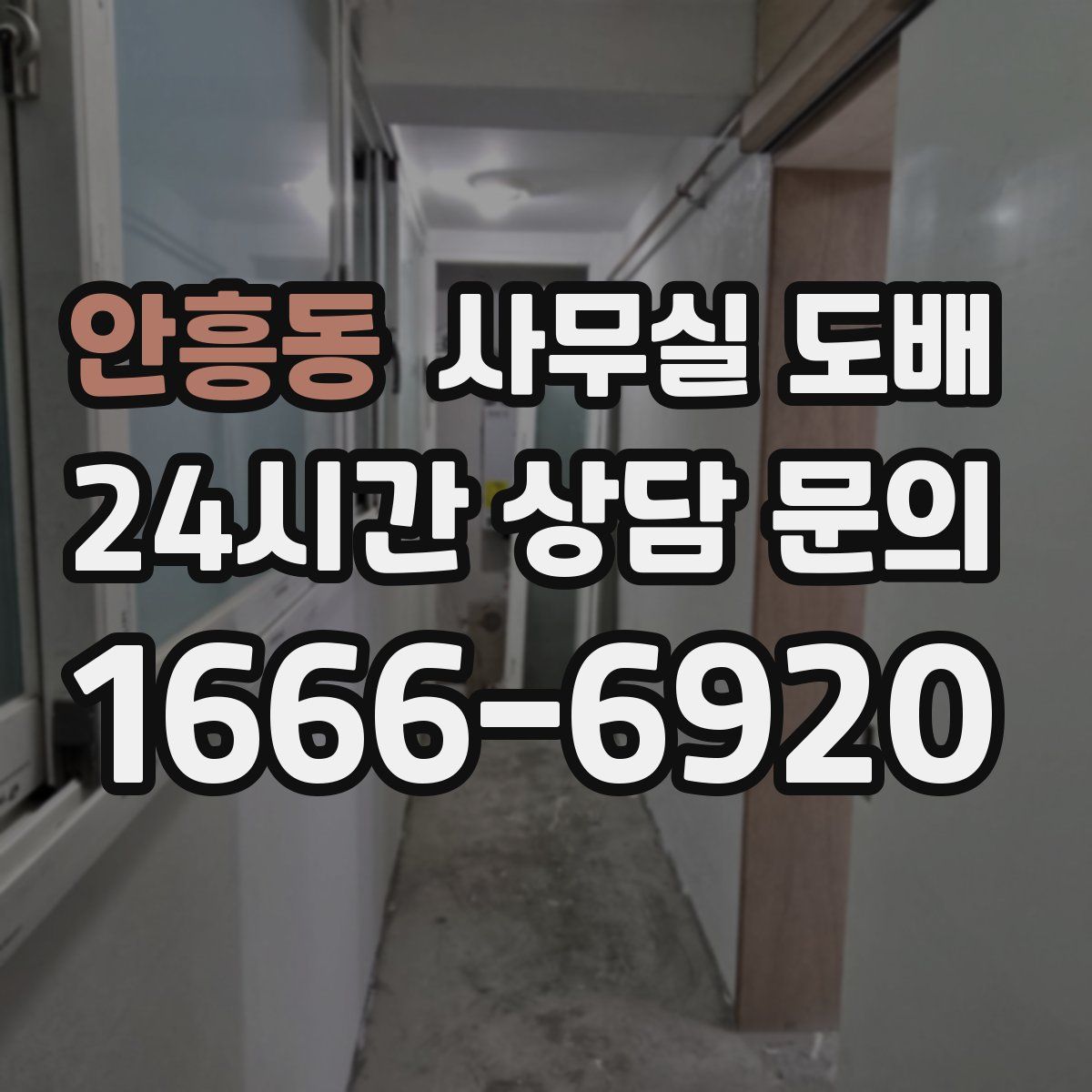 안흥동 사무실 도배