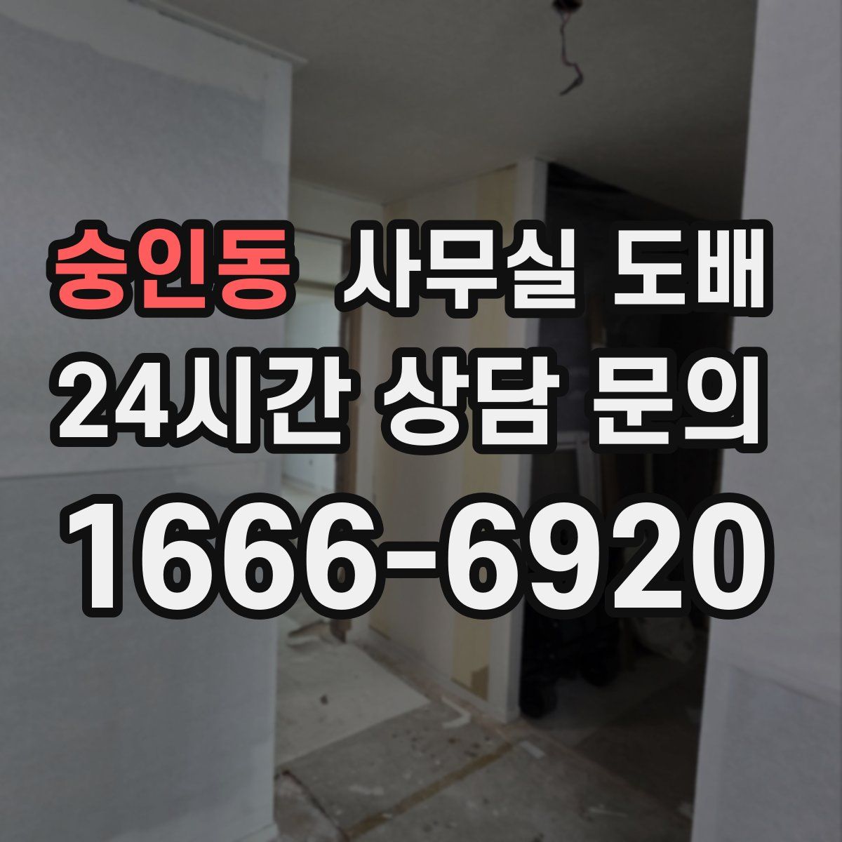 숭인동 사무실 도배