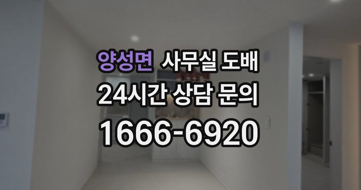 양성면 사무실 도배