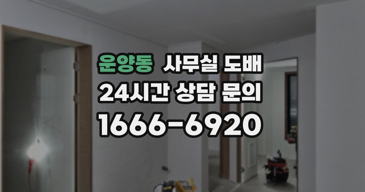운양동 사무실 도배